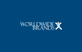 A Comprehensive Review of Worldwide Brands in 2024: Is It Still Worth It?